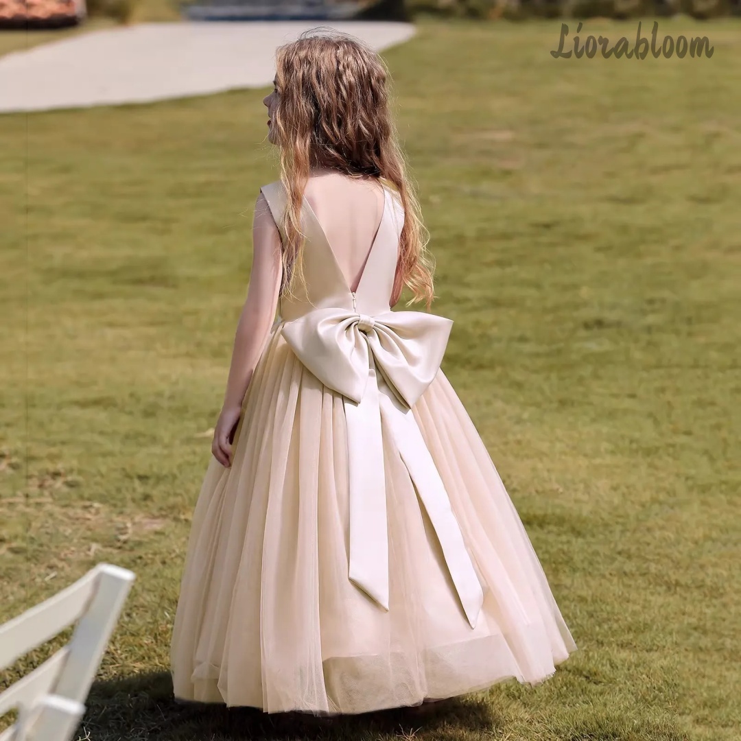 멀티 컬러 백리스 공주 드레스 튤 정장 가운, 리본 장 - Women'S Formal Wear Wedding 리뷰 및 가격